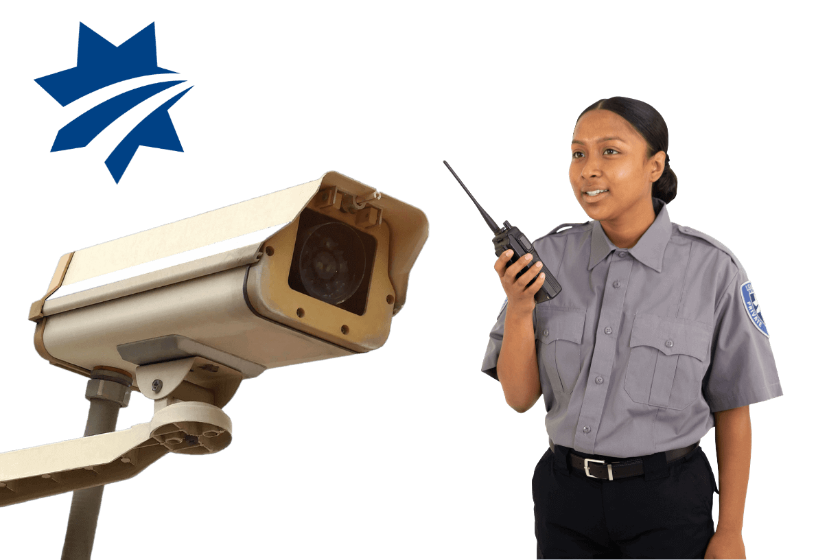 Professional security services for industrial facilities